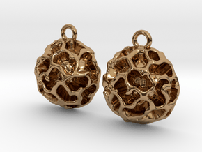 Fossil Acritarch Cymatiosphaera Earrings in Polished Brass