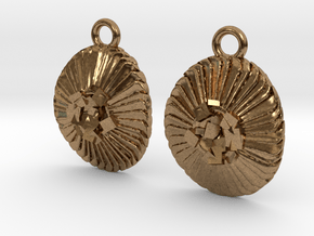 Coccolithus Coccolithophore Plankton Earrings  in Natural Brass