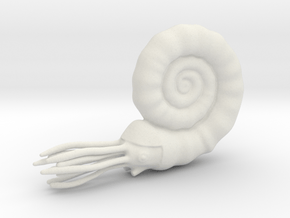 Ammonite in White Natural Versatile Plastic