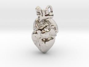 Bigger Anatomical Heart pendant in Rhodium Plated Brass