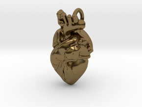 Bigger Anatomical Heart pendant in Polished Bronze