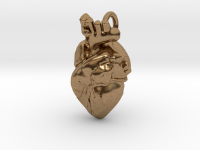 Bigger Anatomical Heart pendant in Natural Brass