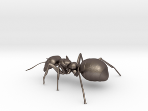 ANT-7inch in Polished Bronzed Silver Steel