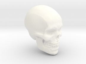 Skull Paperweight in White Processed Versatile Plastic