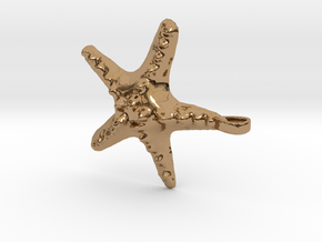 Sea Star Necklace in Polished Brass