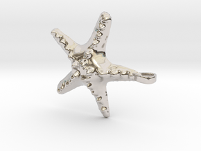 Sea Star Necklace in Rhodium Plated Brass