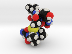 Oxytocin Nona Peptide Molecule Model  in Full Color Sandstone