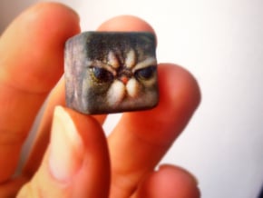 Grumpy Cat Cube / Animal Cubes in Full Color Sandstone