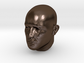 1/6 scale Highly detailed head figure Tete visage  in Polished Bronze Steel