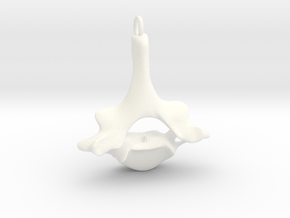 Human vertebra - C7 full size loop in White Processed Versatile Plastic