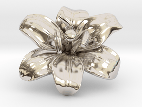 Lily Flower 1 - M in Platinum