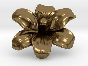 Lily Flower 1 - M in Polished Bronze