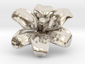 Lily Flower 1 - M in Rhodium Plated Brass