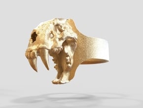 Sabretooth Ring in Polished Gold Steel: 9.5 / 60.25