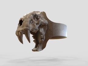 Sabretooth Ring in Polished Bronze Steel: 9.5 / 60.25