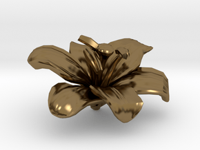 Lily Flower Rock 1 - S in Polished Bronze