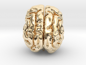 Cheetah brain in 14K Yellow Gold