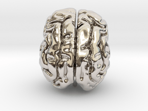 Cheetah brain in Platinum