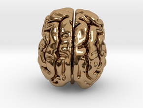 Cheetah brain in Polished Brass