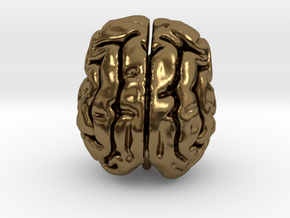 Cheetah brain in Polished Bronze