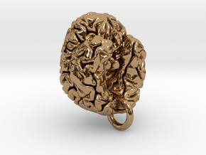 Human brain in Polished Brass