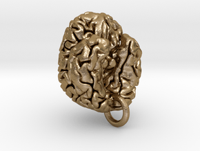 Human brain in Polished Gold Steel