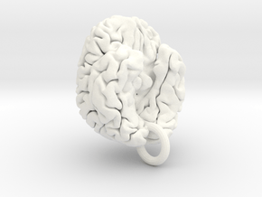 Human brain in White Processed Versatile Plastic