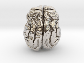 Leopard brain in Platinum