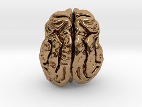 Leopard brain in Polished Brass
