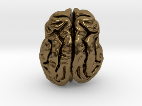 Leopard brain in Polished Bronze