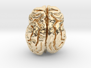 Leopard brain in 14k Gold Plated Brass