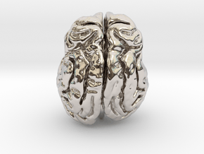 Leopard brain in Rhodium Plated Brass