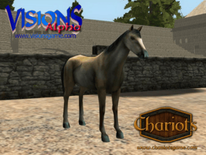 Horse Buckskin in Full Color Sandstone