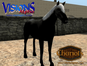 Horse Ultra Black Fancy in Full Color Sandstone