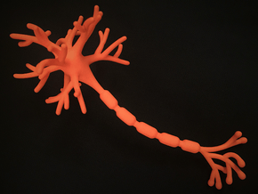 Neuron Cell (17.7cm) in Orange Processed Versatile Plastic