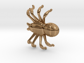 SPIDER in Polished Brass