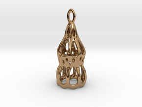 Dictyocysta pendant in Polished Brass