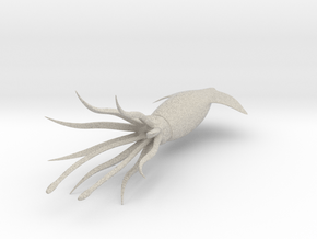 Squid-3D in Natural Sandstone