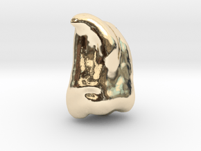 Human Tooth UM3 [PMF500] in 14K Yellow Gold