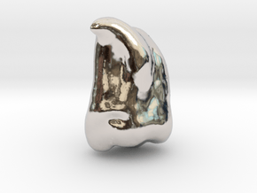 Human Tooth UM3 [PMF500] in Platinum