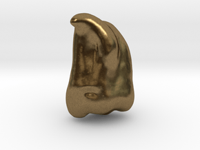 Human Tooth UM3 [PMF500] in Natural Bronze