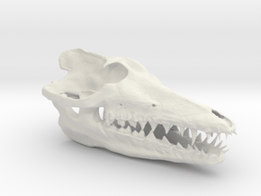 Pakicetus skull in White Natural Versatile Plastic