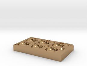 Dissection Plate D/FP in Polished Brass