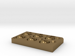 Dissection Plate D/FP in Polished Bronze