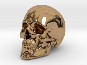 Human Skull in Polished Brass