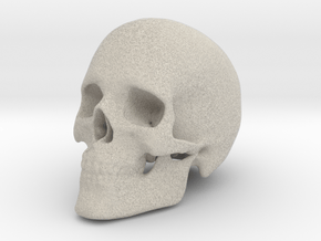 Human Skull in Natural Sandstone