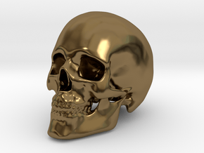 Human Skull in Polished Bronze