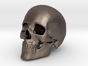 Human Skull in Polished Bronzed Silver Steel