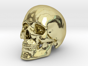 Human Skull in 18K Gold Plated