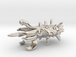 Flamboyant Cuttlefish  in Rhodium Plated Brass